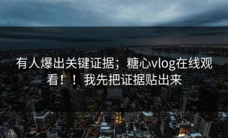 有人爆出关键证据；糖心vlog在线观看！！我先把证据贴出来