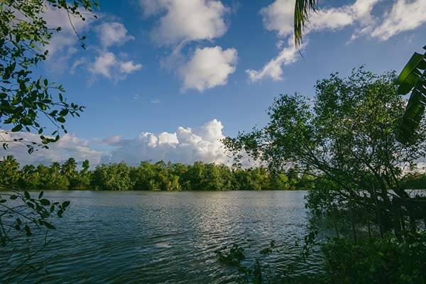 这回不是传闻｜17c官网，关于官网跳转的说法——这次终于说清楚？！这条爆料你信几分