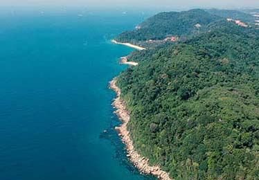 朋友一句话把我点醒：糖心官网vlog - 换了个浏览器——不夸张，这一步很重要！看懂的人自然懂